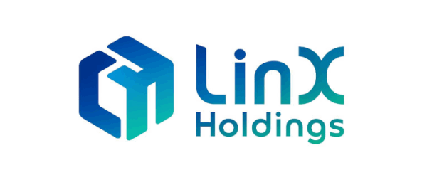 LINX HOLDINGS